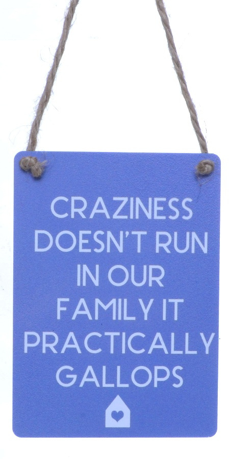 Minischild "craziness"